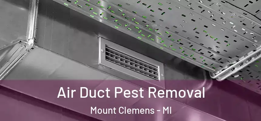 Air Duct Pest Removal Mount Clemens - MI