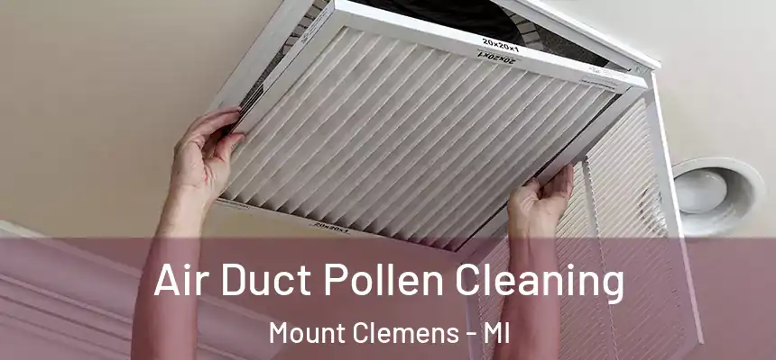 Air Duct Pollen Cleaning Mount Clemens - MI