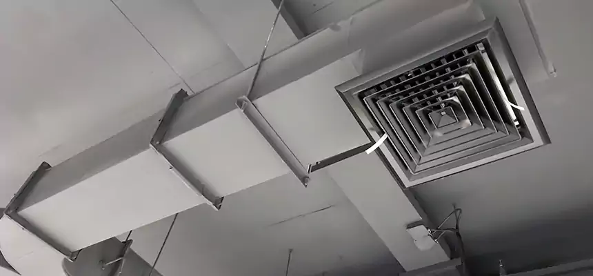 Restorative Allergy Relief Vent Cleaning – Coil, Blower & Housing Detail in Mount Clemens