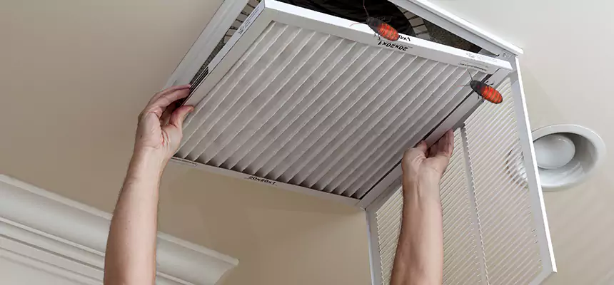 Our Insect Removal from Air Ducts Services in Mount Clemens, MI