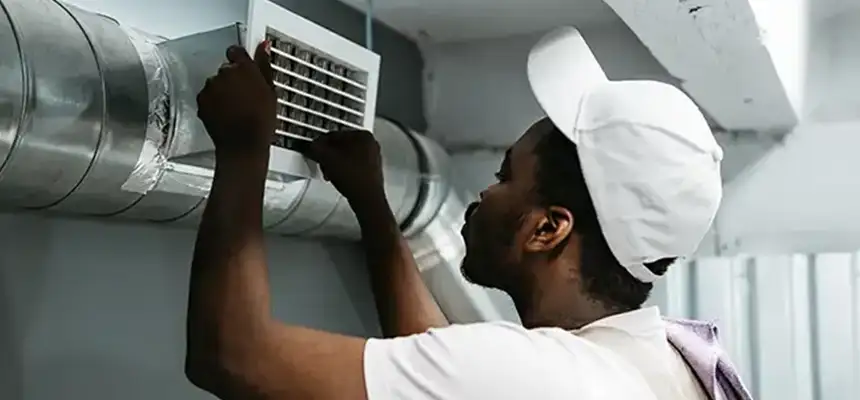 Our Licensed And Insured Cleaners in Mount Clemens, MI