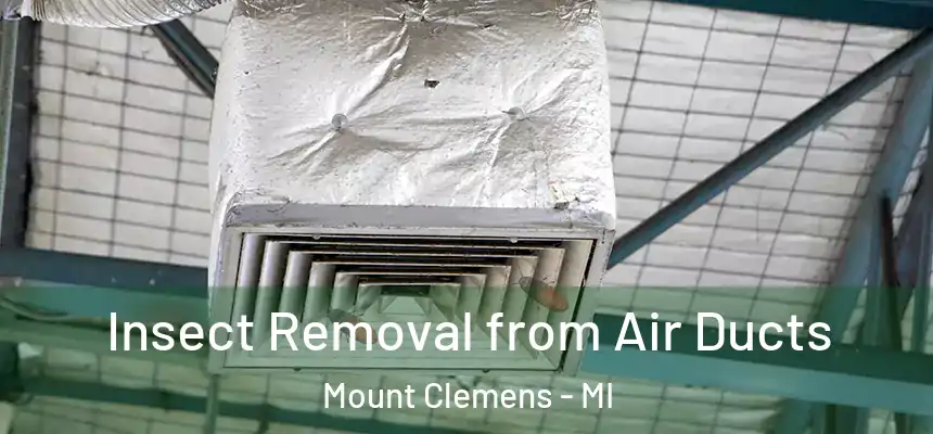  Insect Removal from Air Ducts Mount Clemens - MI