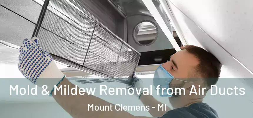 Mold & Mildew Removal from Air Ducts Mount Clemens - MI