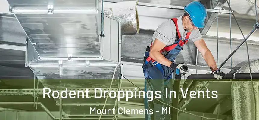  Rodent Droppings In Vents Mount Clemens - MI