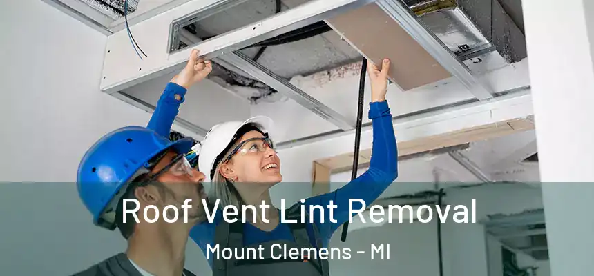 Roof Vent Lint Removal Mount Clemens - MI