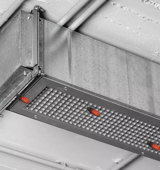 About Air Duct Cockroach Removal in Mount Clemens, MI