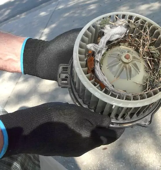 About Air Duct Mice Removal in Mount Clemens, MI