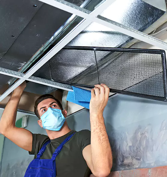 Professional Air Duct Pollen Cleaning in Mount Clemens, MI