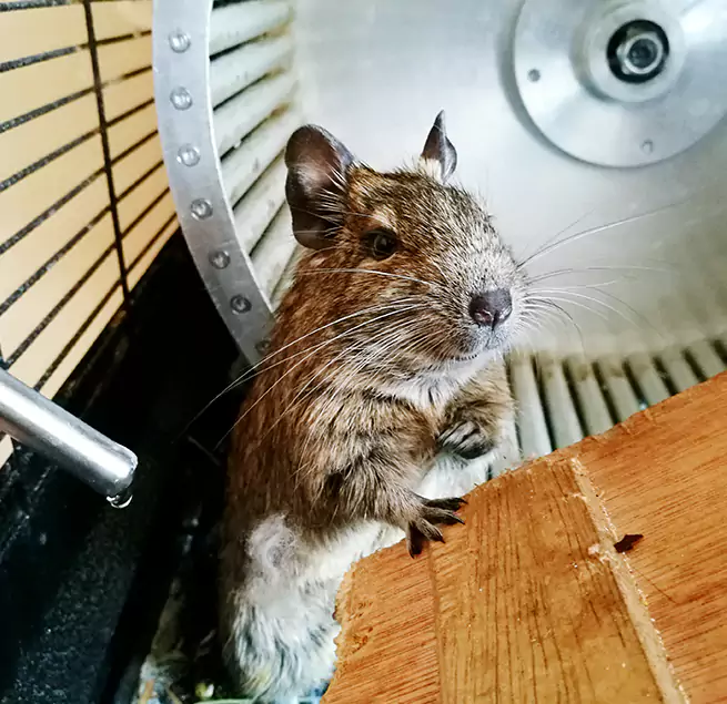 Why Homeowners & Businesses Trust Us Mount Clemens, MI?